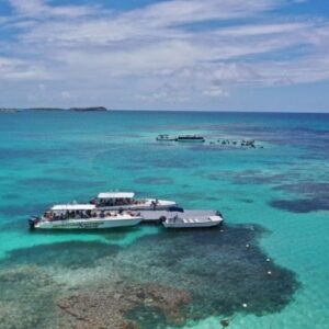 Oasis Ocean 7 Cruise & Beach Club Lime - USD$100